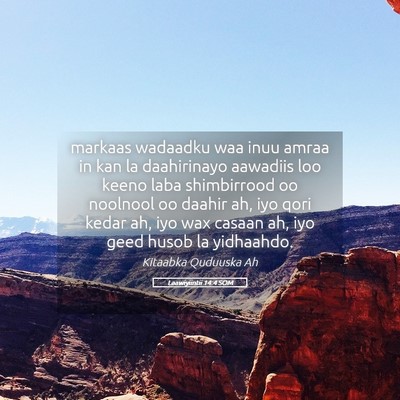 Picture 05 - Laawiyiintii 14:4 SOM - markaas wadaadku waa inuu amraa in kan la - Bible Verse Picture