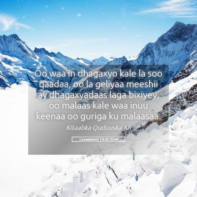 Picture 05 - Laawiyiintii 14:42 SOM - Oo waa in dhagaxyo kale la soo qaadaa, oo la - Bible Verse Picture