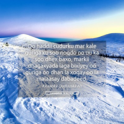 Picture 05 - Laawiyiintii 14:43 SOM - Oo haddii cudurku mar kale guriga ku soo noqdo oo - Bible Verse Picture