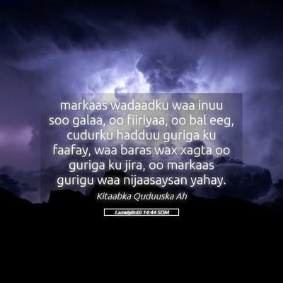 Picture 05 - Laawiyiintii 14:44 SOM - markaas wadaadku waa inuu soo galaa, oo fiiriyaa, - Bible Verse Picture