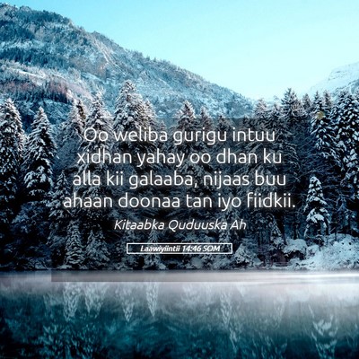 Picture 05 - Laawiyiintii 14:46 SOM - Oo weliba gurigu intuu xidhan yahay oo dhan ku - Bible Verse Picture