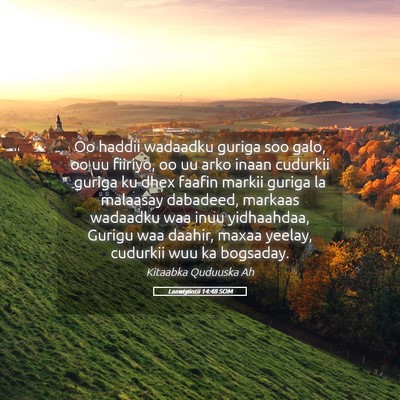 Picture 05 - Laawiyiintii 14:48 SOM - Oo haddii wadaadku guriga soo galo, oo uu - Bible Verse Picture