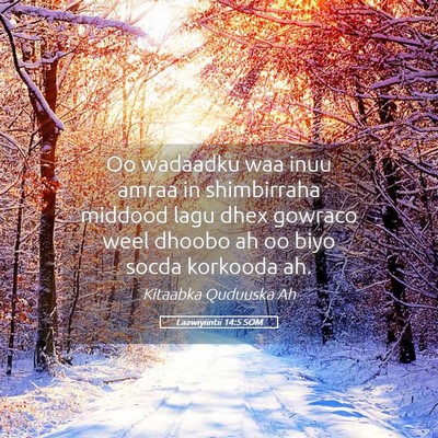 Picture 05 - Laawiyiintii 14:5 SOM - Oo wadaadku waa inuu amraa in shimbirraha middood - Bible Verse Picture
