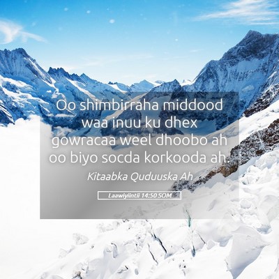Picture 05 - Laawiyiintii 14:50 SOM - Oo shimbirraha middood waa inuu ku dhex gowracaa - Bible Verse Picture