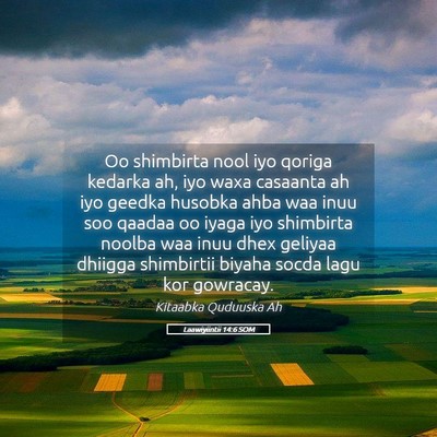 Picture 05 - Laawiyiintii 14:6 SOM - Oo shimbirta nool iyo qoriga kedarka ah, iyo waxa - Bible Verse Picture
