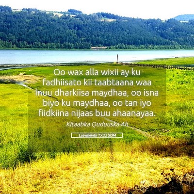 Picture 05 - Laawiyiintii 15:22 SOM - Oo wax alla wixii ay ku fadhiisato kii taabtaana - Bible Verse Picture