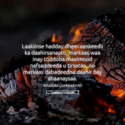 Picture 05 - Laawiyiintii 15:28 SOM - Laakiinse hadday dheecaankeedii ka daahirsanaato, - Bible Verse Picture