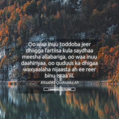 Picture 05 - Laawiyiintii 16:19 SOM - Oo waa inuu toddoba jeer dhiigga fartiisa kula - Bible Verse Picture