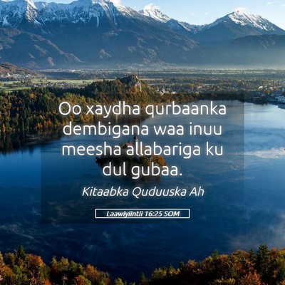 Picture 05 - Laawiyiintii 16:25 SOM - Oo xaydha qurbaanka dembigana waa inuu meesha - Bible Verse Picture
