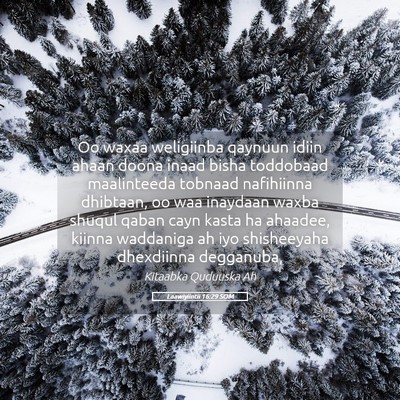 Picture 05 - Laawiyiintii 16:29 SOM - Oo waxaa weligiinba qaynuun idiin ahaan doona - Bible Verse Picture