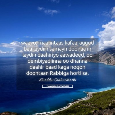 Picture 05 - Laawiyiintii 16:30 SOM - waayo, maalintaas kafaaraggud baa laydiin samayn - Bible Verse Picture
