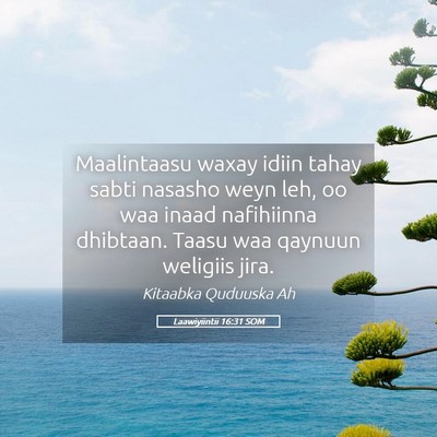 Picture 05 - Laawiyiintii 16:31 SOM - Maalintaasu waxay idiin tahay sabti nasasho weyn - Bible Verse Picture