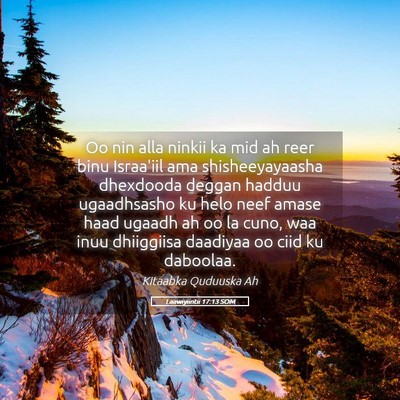 Picture 05 - Laawiyiintii 17:13 SOM - Oo nin alla ninkii ka mid ah reer binu Israa'iil - Bible Verse Picture