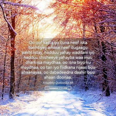 Picture 05 - Laawiyiintii 17:15 SOM - Oo qof kasta oo cuna neef iska bakhtiyey amase - Bible Verse Picture
