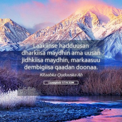 Picture 05 - Laawiyiintii 17:16 SOM - Laakiinse hadduusan dharkiisa maydhin ama uusan - Bible Verse Picture