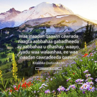 Picture 05 - Laawiyiintii 18:11 SOM - Waa inaadan qaawin cawrada naagta aabbahaa - Bible Verse Picture