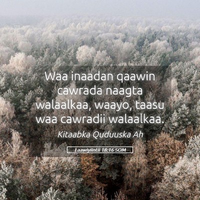 Picture 05 - Laawiyiintii 18:16 SOM - Waa inaadan qaawin cawrada naagta walaalkaa, - Bible Verse Picture