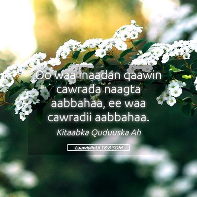 Picture 05 - Laawiyiintii 18:8 SOM - Oo waa inaadan qaawin cawrada naagta aabbahaa, ee - Bible Verse Picture