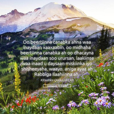 Picture 05 - Laawiyiintii 19:10 SOM - Oo beertiinna canabka ahna waa inaydaan - Bible Verse Picture