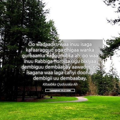 Picture 05 - Laawiyiintii 19:22 SOM - Oo wadaadku waa inuu isaga kafaaraggud uga dhigaa - Bible Verse Picture