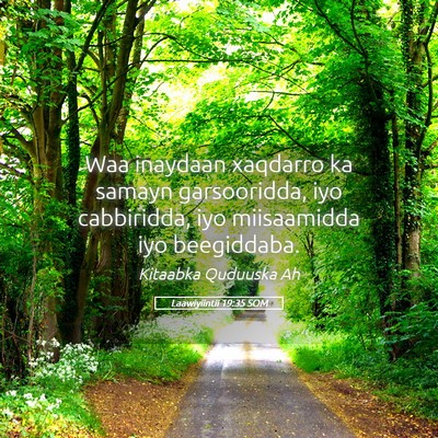 Picture 05 - Laawiyiintii 19:35 SOM - Waa inaydaan xaqdarro ka samayn garsooridda, iyo - Bible Verse Picture
