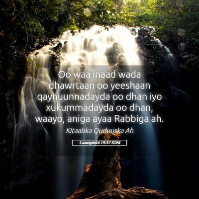 Picture 05 - Laawiyiintii 19:37 SOM - Oo waa inaad wada dhawrtaan oo yeeshaan - Bible Verse Picture