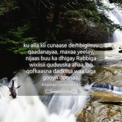 Picture 05 - Laawiyiintii 19:8 SOM - ku alla kii cunaase dembigiisuu qaadanayaa, maxaa - Bible Verse Picture