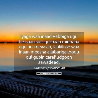 Picture 05 - Laawiyiintii 2:12 SOM - Iyaga waa inaad Rabbiga ugu bixisaan sidii - Bible Verse Picture