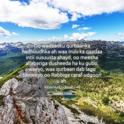 Picture 05 - Laawiyiintii 2:9 SOM - Oo wadaadku qurbaanka hadhuudhka ah waa inuu ka - Bible Verse Picture