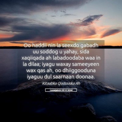 Picture 05 - Laawiyiintii 20:12 SOM - Oo haddii nin la seexdo gabadh uu soddog u yahay, - Bible Verse Picture