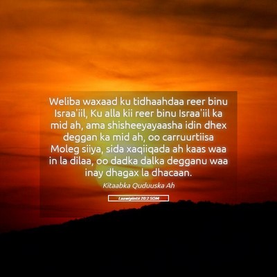 Picture 05 - Laawiyiintii 20:2 SOM - Weliba waxaad ku tidhaahdaa reer binu Israa'iil, - Bible Verse Picture