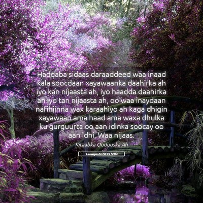 Picture 05 - Laawiyiintii 20:25 SOM - Haddaba sidaas daraaddeed waa inaad kala soocdaan - Bible Verse Picture