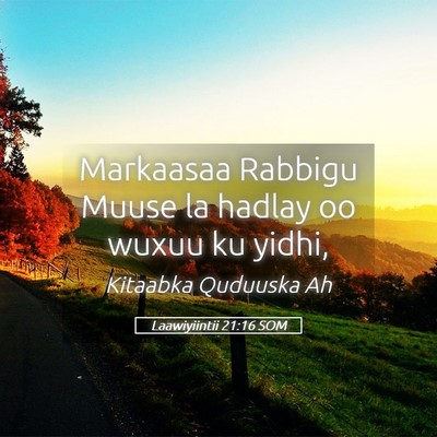 Picture 05 - Laawiyiintii 21:16 SOM - Markaasaa Rabbigu Muuse la hadlay oo wuxuu ku - Bible Verse Picture