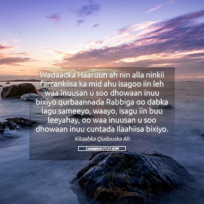 Picture 05 - Laawiyiintii 21:21 SOM - Wadaadka Haaruun ah nin alla ninkii farcankiisa - Bible Verse Picture