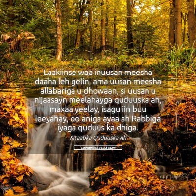 Picture 05 - Laawiyiintii 21:23 SOM - Laakiinse waa inuusan meesha daaha leh gelin, ama - Bible Verse Picture