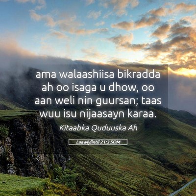 Picture 05 - Laawiyiintii 21:3 SOM - ama walaashiisa bikradda ah oo isaga u dhow, oo - Bible Verse Picture