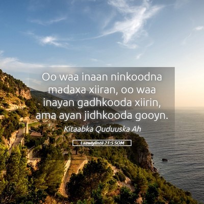 Picture 05 - Laawiyiintii 21:5 SOM - Oo waa inaan ninkoodna madaxa xiiran, oo waa - Bible Verse Picture