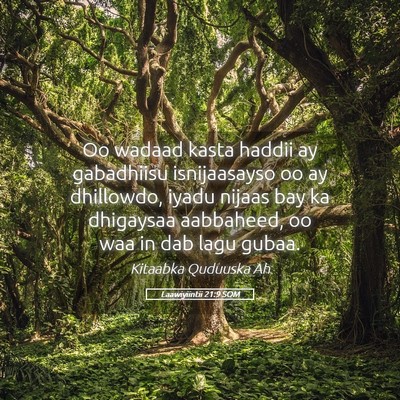 Picture 05 - Laawiyiintii 21:9 SOM - Oo wadaad kasta haddii ay gabadhiisu isnijaasayso - Bible Verse Picture