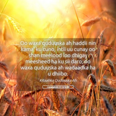 Picture 05 - Laawiyiintii 22:14 SOM - Oo waxa quduuska ah haddii nin kama' ku cuno, - Bible Verse Picture