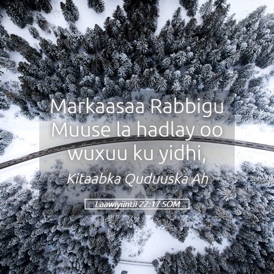 Picture 05 - Laawiyiintii 22:17 SOM - Markaasaa Rabbigu Muuse la hadlay oo wuxuu ku - Bible Verse Picture