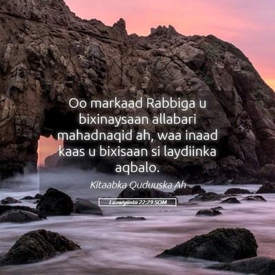 Picture 05 - Laawiyiintii 22:29 SOM - Oo markaad Rabbiga u bixinaysaan allabari - Bible Verse Picture