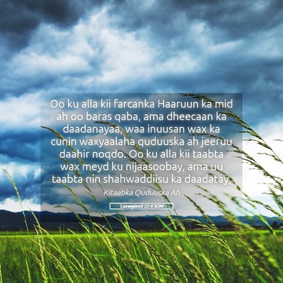 Picture 05 - Laawiyiintii 22:4 SOM - Oo ku alla kii farcanka Haaruun ka mid ah oo - Bible Verse Picture