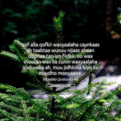 Picture 05 - Laawiyiintii 22:6 SOM - qof alla qofkii waxyaalaha caynkaas ah taabtaa - Bible Verse Picture