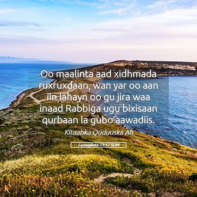 Picture 05 - Laawiyiintii 23:12 SOM - Oo maalinta aad xidhmada ruxruxdaan, wan yar oo - Bible Verse Picture