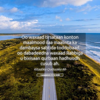 Picture 05 - Laawiyiintii 23:16 SOM - Oo waxaad tirsataan konton maalmood ilaa maalinta - Bible Verse Picture