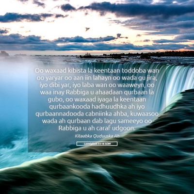 Picture 05 - Laawiyiintii 23:18 SOM - Oo waxaad kibista la keentaan toddoba wan oo - Bible Verse Picture
