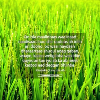 Picture 05 - Laawiyiintii 23:21 SOM - Oo isla maalintaas waa inaad naadisaan inuu shir - Bible Verse Picture