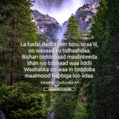 Picture 05 - Laawiyiintii 23:34 SOM - La hadal dadka reer binu Israa'iil, oo waxaad ku - Bible Verse Picture