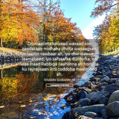 Picture 05 - Laawiyiintii 23:40 SOM - Oo maalinta kowaad waxaad soo qaadataan midhaha - Bible Verse Picture
