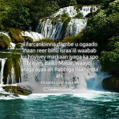 Picture 05 - Laawiyiintii 23:43 SOM - si farcankiinna dambe u ogaado inaan reer binu - Bible Verse Picture